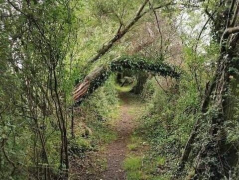 Světový týden glaukomu, kdy měříme nitrooční tlak zdarma