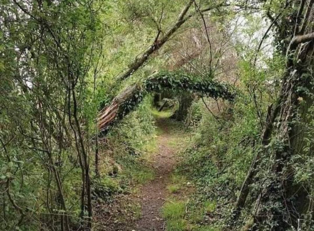 Světový týden glaukomu, kdy měříme nitrooční tlak zdarma